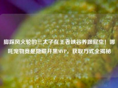 脚踩风火轮的三太子在王者峡谷养跟屁虫！哪吒宠物竟是隐藏开黑MVP，获取方式全揭秘