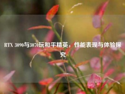 RTX 3090与3070玩和平精英，性能表现与体验探究