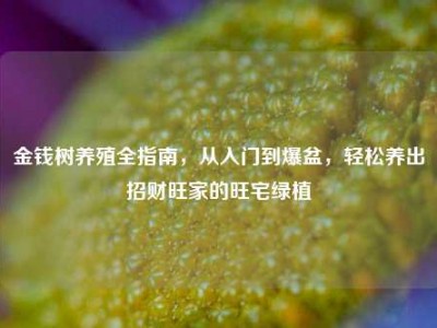 金钱树养殖全指南，从入门到爆盆，轻松养出招财旺家的旺宅绿植