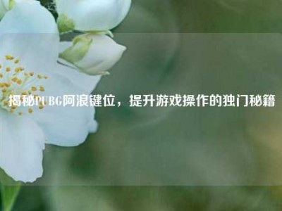 揭秘PUBG阿浪键位，提升游戏操作的独门秘籍