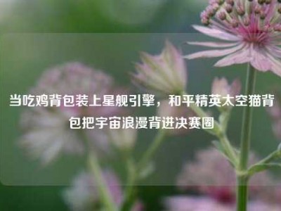 当吃鸡背包装上星舰引擎，和平精英太空猫背包把宇宙浪漫背进决赛圈