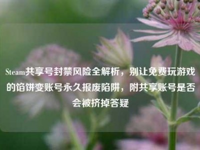 Steam共享号封禁风险全解析，别让免费玩游戏的馅饼变账号永久报废陷阱，附共享账号是否会被挤掉答疑