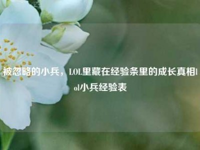 被忽略的小兵，LOL里藏在经验条里的成长真相lol小兵经验表