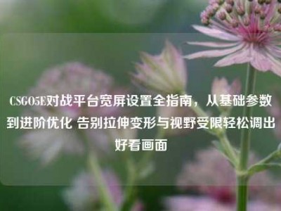 CSGO5E对战平台宽屏设置全指南，从基础参数到进阶优化 告别拉伸变形与视野受限轻松调出好看画面
