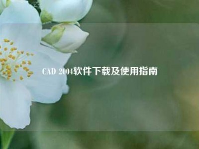 CAD 2004软件下载及使用指南