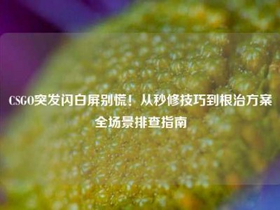 CSGO突发闪白屏别慌！从秒修技巧到根治方案全场景排查指南