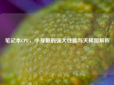 笔记本CPU，小身躯的强大性能与天梯图解析