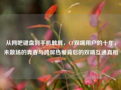 从网吧键盘到手机触屏，CF双端用户的十年，未散场的青春与跨屏热爱背后的双端互通真相