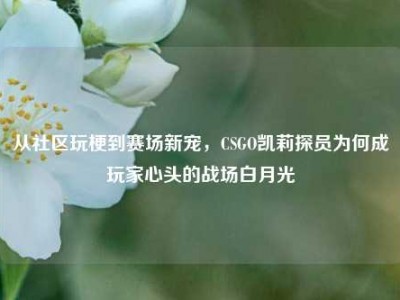 从社区玩梗到赛场新宠，CSGO凯莉探员为何成玩家心头的战场白月光