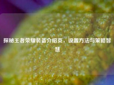 探秘王者荣耀装备介绍页，设置方法与策略智慧