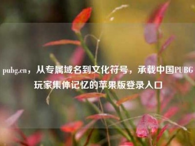 pubg.cn，从专属域名到文化符号，承载中国PUBG玩家集体记忆的苹果版登录入口