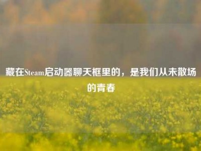 藏在Steam启动器聊天框里的，是我们从未散场的青春
