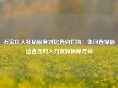 石家庄人社局服务对比选购指南：如何选择最适合您的人力资源保障方案