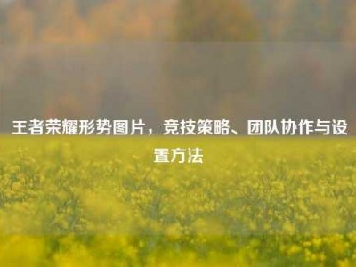 王者荣耀形势图片，竞技策略、团队协作与设置方法