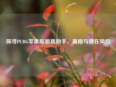 探寻PUBG苹果版画质助手，真相与潜在风险