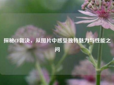 探秘CF裁决，从图片中感受独特魅力与性能之问