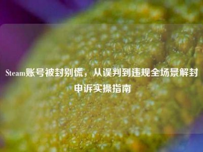 Steam账号被封别慌，从误判到违规全场景解封申诉实操指南