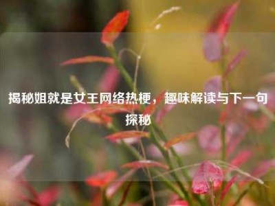 揭秘姐就是女王网络热梗，趣味解读与下一句探秘