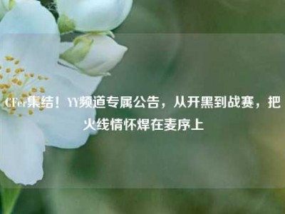 CFer集结！YY频道专属公告，从开黑到战赛，把火线情怀焊在麦序上