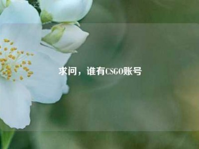 求问，谁有CSGO账号