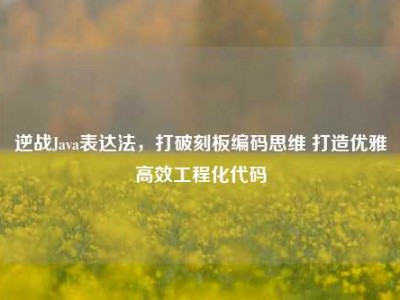 逆战Java表达法，打破刻板编码思维 打造优雅高效工程化代码