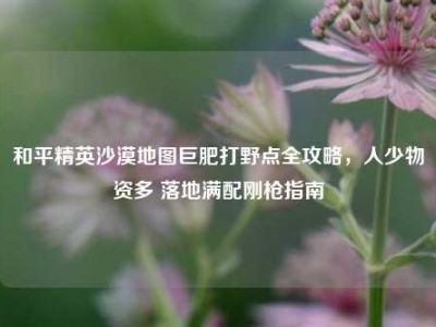 和平精英沙漠地图巨肥打野点全攻略，人少物资多 落地满配刚枪指南
