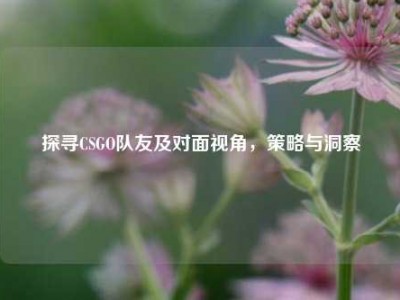 探寻CSGO队友及对面视角，策略与洞察