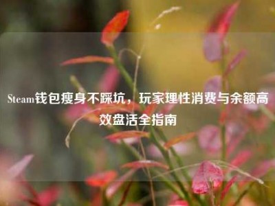 Steam钱包瘦身不踩坑，玩家理性消费与余额高效盘活全指南
