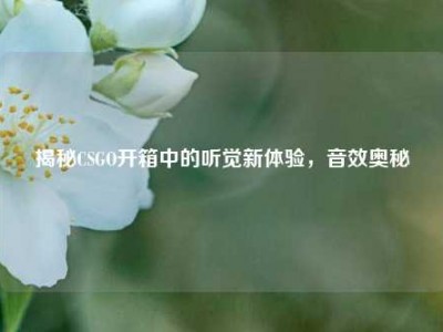 揭秘CSGO开箱中的听觉新体验，音效奥秘