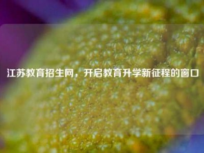 江苏教育招生网，开启教育升学新征程的窗口