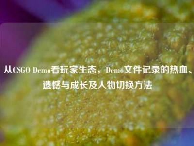 从CSGO Demo看玩家生态，Demo文件记录的热血、遗憾与成长及人物切换方法