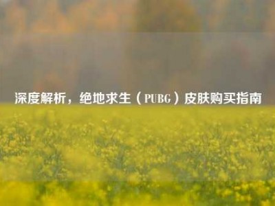 深度解析，绝地求生（PUBG）皮肤购买指南