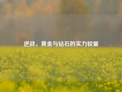 逆战，黄金与钻石的实力较量
