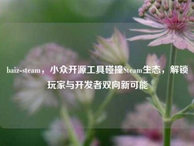 baiz-steam，小众开源工具碰撞Steam生态，解锁玩家与开发者双向新可能