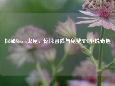 探秘Steam鬼屋，惊悚冒险与免费NPC小说奇遇