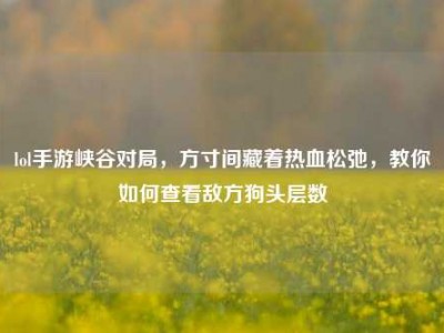 lol手游峡谷对局，方寸间藏着热血松弛，教你如何查看敌方狗头层数