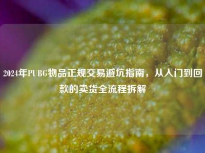 2024年PUBG物品正规交易避坑指南，从入门到回款的卖货全流程拆解