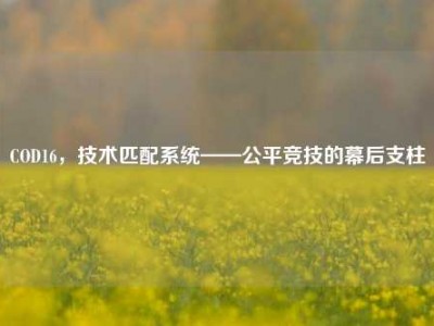 COD16，技术匹配系统——公平竞技的幕后支柱