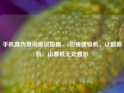 手机真伪查询避坑指南，3招快速验机，让翻新机、山寨机无处遁形