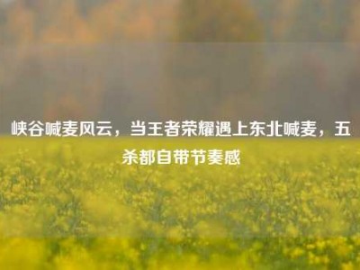 峡谷喊麦风云，当王者荣耀遇上东北喊麦，五杀都自带节奏感