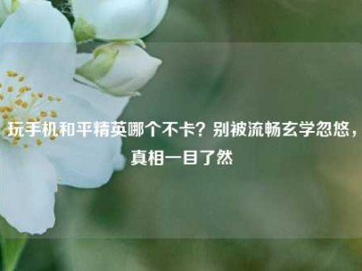 玩手机和平精英哪个不卡？别被流畅玄学忽悠，真相一目了然