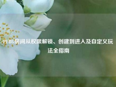 PUBG房间从权限解锁、创建到进入及自定义玩法全指南