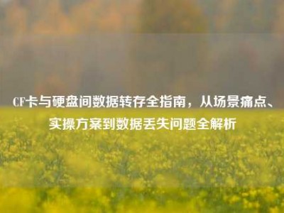 CF卡与硬盘间数据转存全指南，从场景痛点、实操方案到数据丢失问题全解析