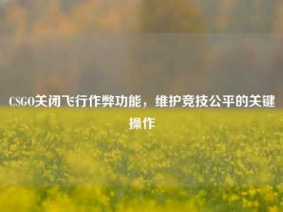 CSGO关闭飞行作弊功能，维护竞技公平的关键操作