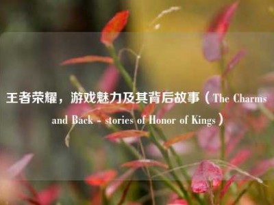 王者荣耀，游戏魅力及其背后故事（The Charms and Back - stories of Honor of Kings）