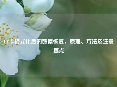 CF卡格式化后的数据恢复，原理、方法及注意要点