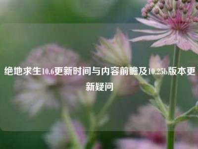 绝地求生10.6更新时间与内容前瞻及10.25b版本更新疑问