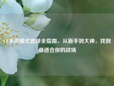 CF手游模式选择全指南，从新手到大神，找到最适合你的战场