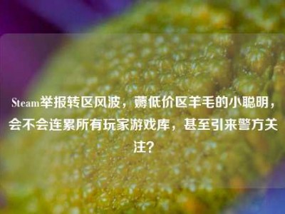 Steam举报转区风波，薅低价区羊毛的小聪明，会不会连累所有玩家游戏库，甚至引来警方关注？