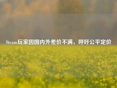 Steam玩家因国内外差价不满，呼吁公平定价